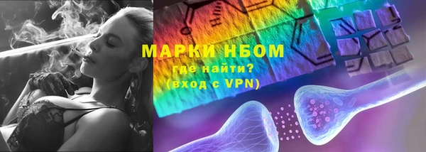 индика Гусь-Хрустальный