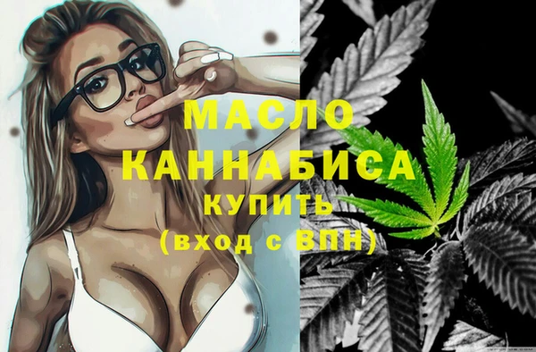 индика Гусь-Хрустальный
