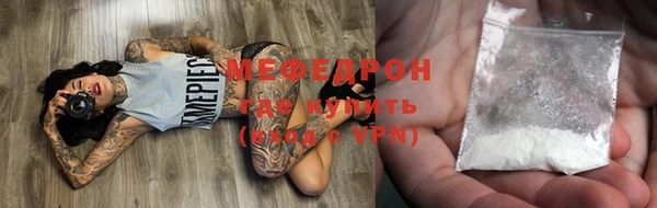 индика Гусь-Хрустальный