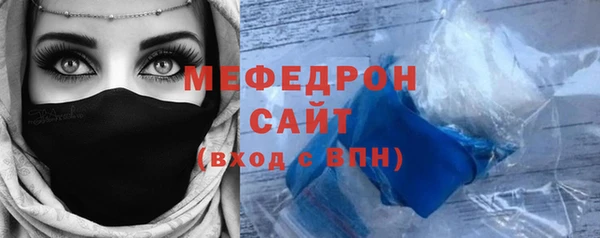 индика Гусь-Хрустальный