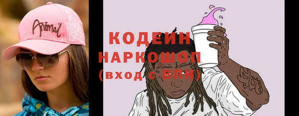 индика Гусь-Хрустальный