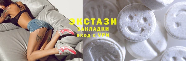 индика Гусь-Хрустальный