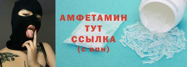 индика Гусь-Хрустальный