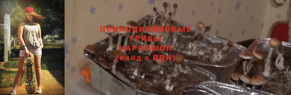 герыч Гусиноозёрск
