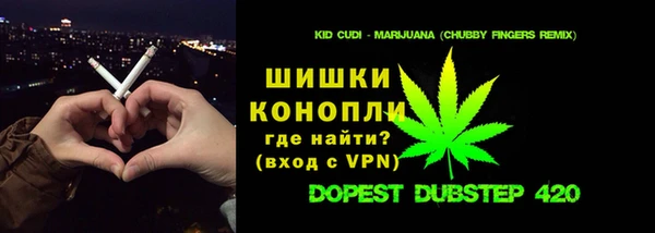 экстази Гусев