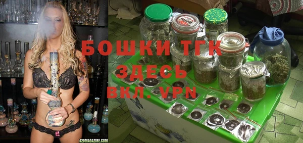 индика Гусь-Хрустальный
