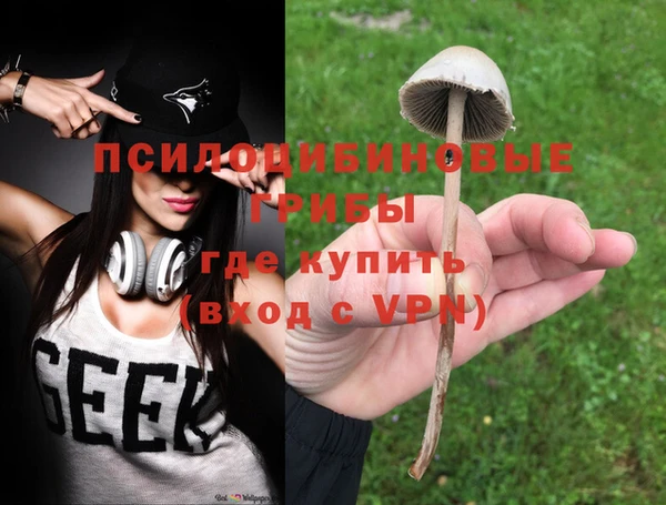 экстази Гусев