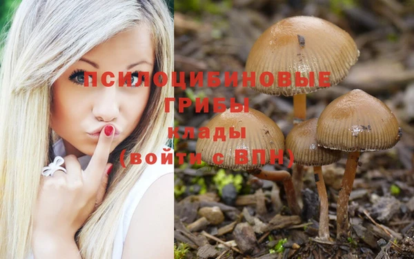 индика Гусь-Хрустальный