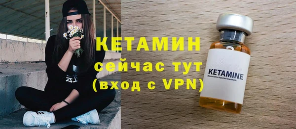индика Гусь-Хрустальный