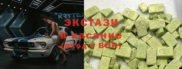 индика Гусь-Хрустальный