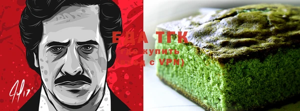 индика Гусь-Хрустальный