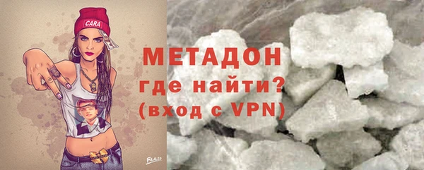 индика Гусь-Хрустальный