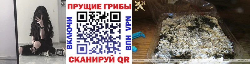 Псилоцибиновые грибы MAGIC MUSHROOMS  Джанкой 