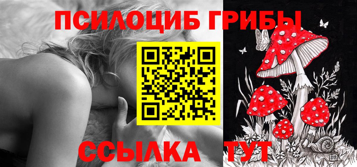 Псилоцибиновые грибы Cubensis  Псилоцибиновые грибы Psilocybe  Джанкой  Вход с VPN 