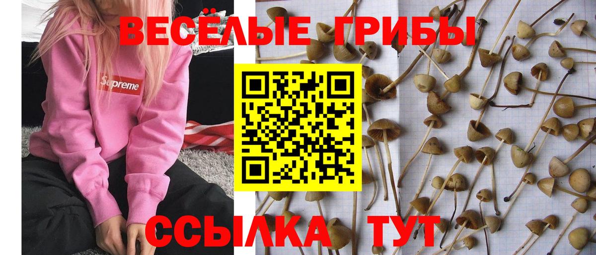 Псилоцибиновые грибы Magic Shrooms Джанкой
